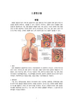 폐렴 문헌고찰 + 실습소감