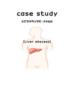 (성인간호학) 간농양 케이스, liver abscess