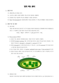 [일반생물학실험]잎의 색소 분리