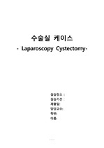 수술실 케이스 스터디 (Laparoscopy Cystectomy)