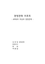 경영전략 리포트 애플(APPLE)의 위상과 경영전략,  애플의 경영전, 애플 4P 분석