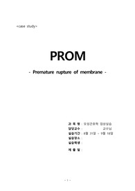 PROM 케이스