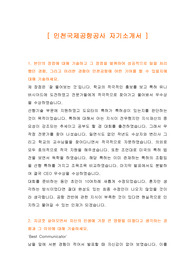 [자기소개서] 인천국제공항공사 자기소개서, 인천국제공항공사 자소서
