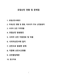 유럽난민 현황 및 문제점 (유럽난민,시리아 난민,난민,난민할당제,전쟁난민,정치적 난민,시리아)