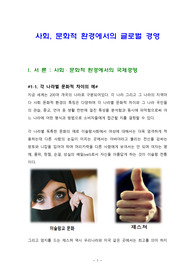 사회, 문화적 환경에서의 글로벌 경영