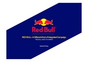 레드불: 통합 캠페인의 다른 종류 (RED BULL: A Different Kind of Integrated Campaign)