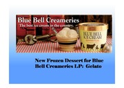 Marketing Plan - New Frozen Dessert for Blue Bell Creameries LP: Gelato (블루벨 아이스크림의 젤라또 마케팅 전략 보고서)
