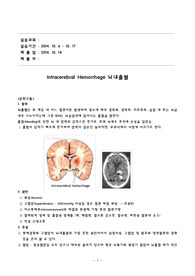 뇌출혈 성인간호 케이스 성인A 받음요