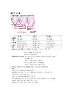 정상분만 기전