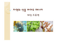 바이오에너지 해양조류편 발표 자료