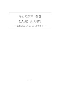 응급간호 케이스 - 요관, 요로 결석 간호과정입니다.
