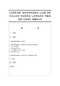 [사회학개론] 베이비부머세대의 노년을 위한 우리나라의 복지정책과 노인복지관의 역할에 대해 작성하여 제출하시오