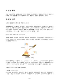 집중열용량계 결과리포트