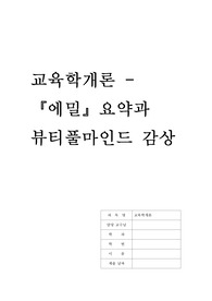 에밀요약과 뷰티풀마인드 감상문