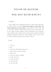 사후조치에 의한 갈등진정사례- 새마을 운동의 갈등사례 평가와 분석