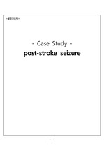 stroke seizure 간호과정(사정,과정,평가)