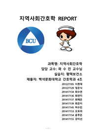 지역사회 케이스 (평택시 지역사회 문제 간호진단)