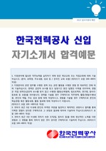 KEPCO 한국전력공사 사무직 자기소개서 합격서류 (한전 자소서)