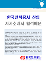 KEPCO 한국전력공사 사무직 자기소개서 합격서류 (한전 자소서)