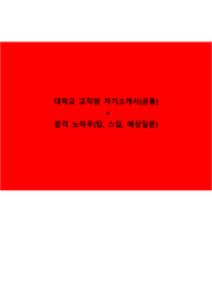 대학교 교직원 자기소개서, 대학교 교직원 면접자료