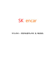 SK엔카 자기소개서, SK 엔카 면접자료