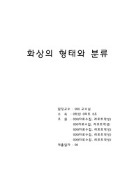 화상의 형태와 분류