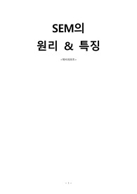 SEM의 원리 &amp; 특징(예비)