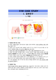 [여성간호학 실습]자궁내막암 case study A+ 레포트