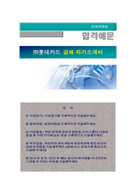 롯데카드 신입사원공채, 롯데카드(신용카드 일반, 영업관리) 자기소개서 + 각항목별 팁 + 면접예상질문, 롯데카드 자소서