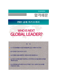 E1  대졸 신입 및 경력직 공개 채용, 국내영업 및 해외영업, E1 자기소개서 + 각항목별 팁 + 면접예상질문, E1 자소서