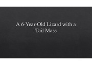 야생동물학 6-year-old lizard with a tail mass case 분석