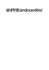 심내막염