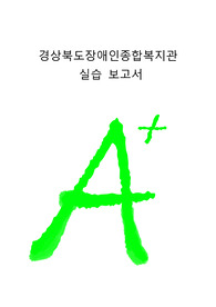 [A+프리미엄] 사회복지실습, 경상북도장애인종합복지관, 실습일지
