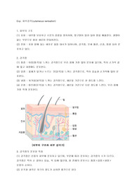 [동물생리학] 피부감각