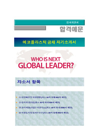 에코플라스틱 자유기술 자기소개서, 자기소개서 팁, 면접예상문제