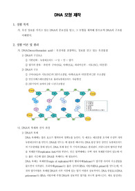 [일반생물학실험] DNA 모형 제작