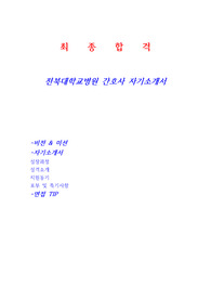 2016년도 전북대학교 간호사 자기소개서