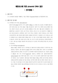 [일반생물학실험]제한효소에 의한 plasmid DNA 절단 - 전기영동