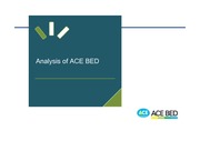 Analysis of ACE BED