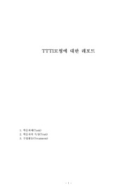 TTTI모형에 대한 레포트