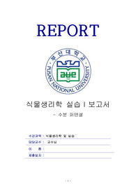 식물의 수분포텐셜 측정 실험보고서