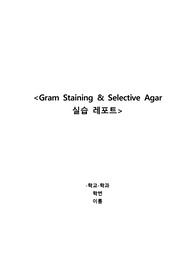 [A+] Gram Staining + Selective Agar 실습 레포트