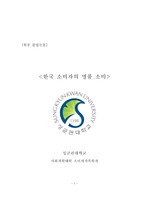 한국소비자의 명품소비(졸업논문)