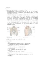 흉곽과 폐 간호 사정