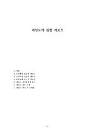 개념도에 관한 레포트