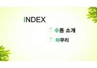수목 30종- 1. 박태기 / 광나무 / 까치박달나무 / 소사나무 / 개암나무 /참개암나무 / 들메나무 / 물푸레나무 /  털쥐똥나무 / 고로쇠
