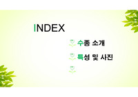 수목 31종-2. 쪽동백/ 노린재/미선나무/ 수수꽃다리/ 쥐똥나무/ 이팝나무/ 오갈피/ 황칠나무/층층나무/ 산딸나무