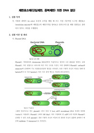 [일반생물학실험]제한효소에(단일제한, 중복제한) 의한 DNA 절단