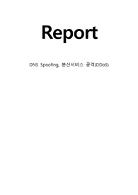 DNS Spoofing, 분산서비스 공격(DDoS) 설명 및 피해 사례,