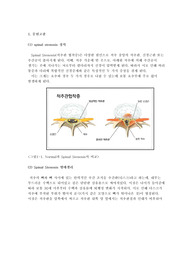 척추협착증 문헌고찰 및 간호과정